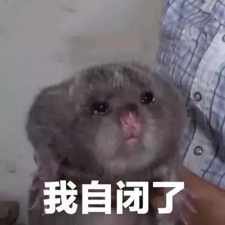 我自闭了（我自闭了）