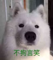 不狗言笑（不狗言笑）