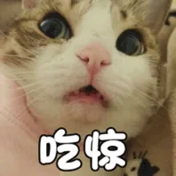 吃惊（吃惊）