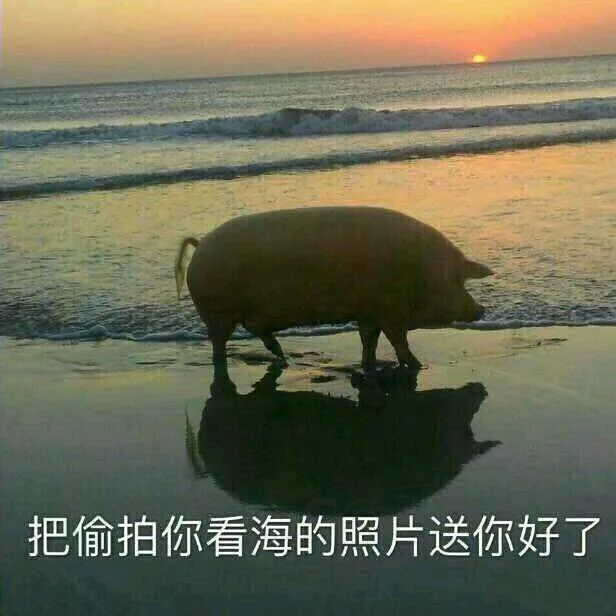 把偷拍你看海的照片送你好了（把偷拍你看海的照片送你好了）
