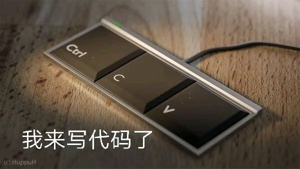 我来写代码了（我来写代码了）