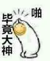 啪，毕竟大神（滑稽跪下了）（啪，毕竟大神（滑稽跪下了））