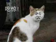 吃惊！（吃惊！）