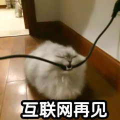 互联网再见（互联网再见）