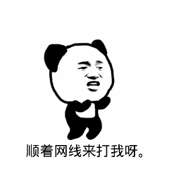 顺着网线来打我呀。（顺着网线来打我呀。）