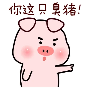 你这只泉猪（你这只泉猪）