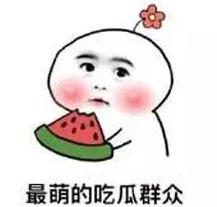 最萌的吃瓜群众（最萌的吃瓜群众）