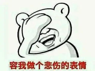 容我做个悲伤的表情（容我做个悲伤的表情）