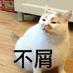 不屑（不屑）
