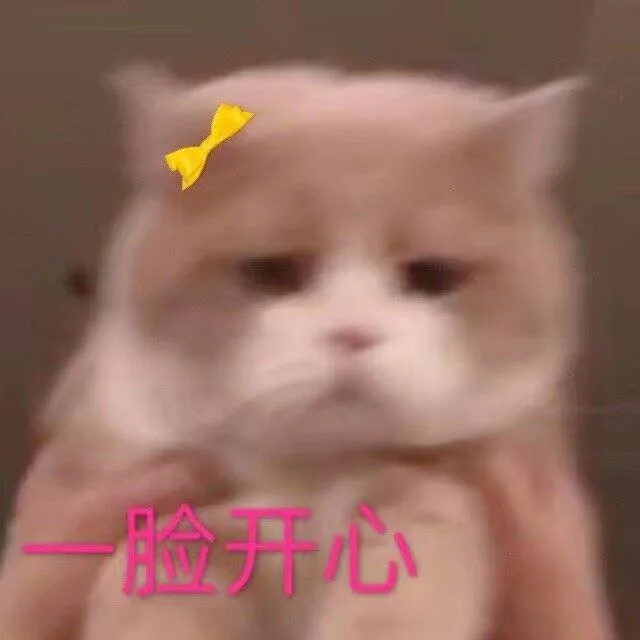一脸开心（一脸开心）
