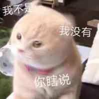 我不，我没有你瞎说（我不，我没有你瞎说）