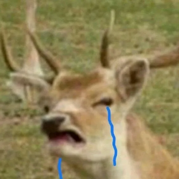哭了（哭了）