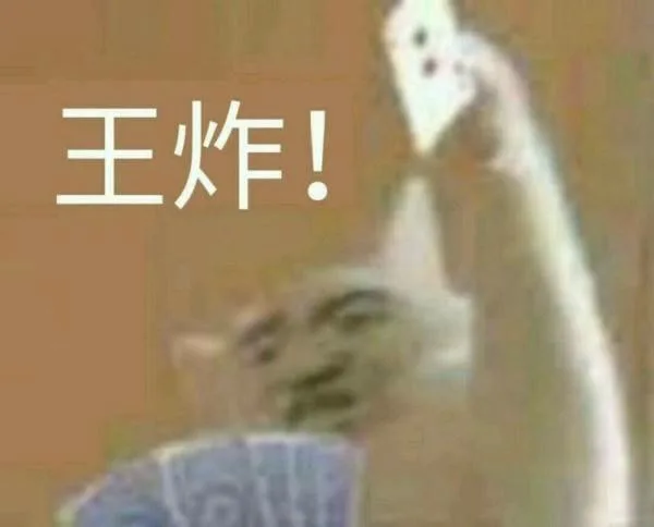 王炸！（王炸！）