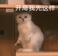开局我先这样（开局我先这样）