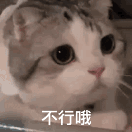 不行哦（不行哦）