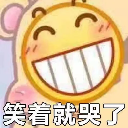 笑着就哭了（笑着就哭了）