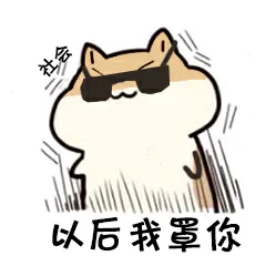 以后我罩你（以后我罩你）