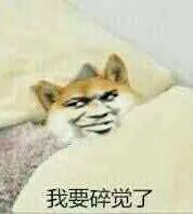 我要碎觉了（我要碎觉了）