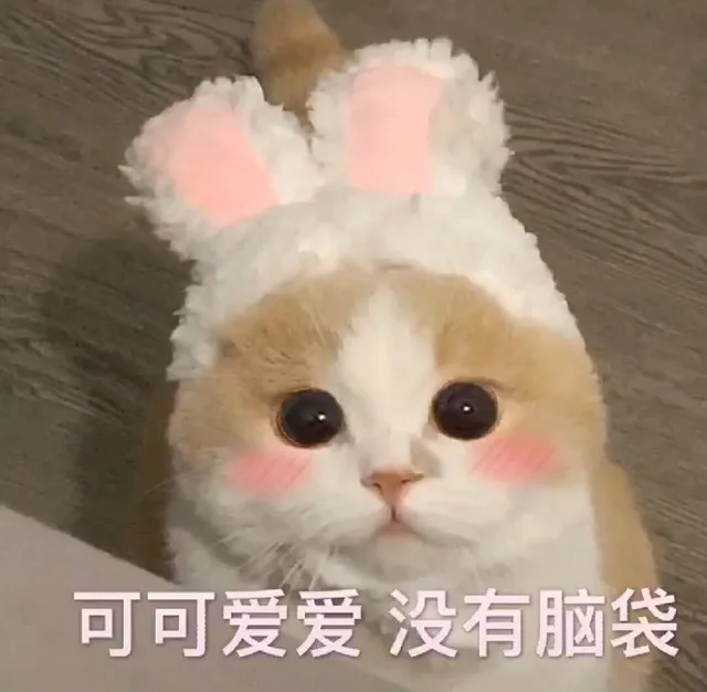 可可爱爱没有脑袋（可可爱爱没有脑袋）