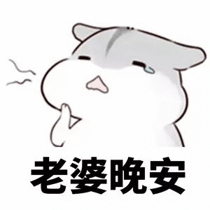老婆晚安（老婆晚安）