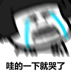 珪的一下就哭了（珪的一下就哭了）