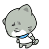 金馆长灰色小猫咪摇头（金馆长灰色小猫咪摇头）