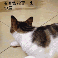 看哥会72变，比你屌（看哥会72变，比你屌）