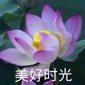 美好时光（美好时光）