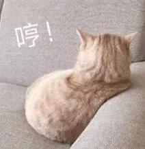 哼（小猫生气）（哼（小猫生气））
