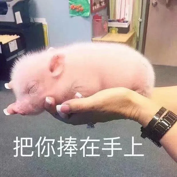 把你捧在手上（把你捧在手上）