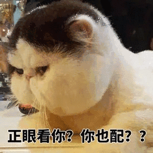 正眼看你？你也配？？（正眼看你？你也配？？）