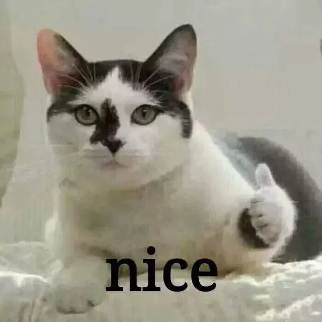 nice（nice）