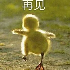 再见（再见）