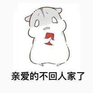 0亲爱的不回人家了（0亲爱的不回人家了）