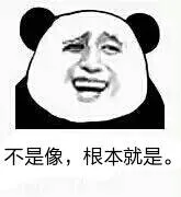 不是像，根本就是（不是像，根本就是）