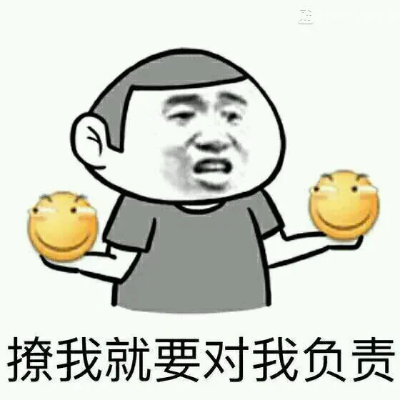 撩我就要对我负责（扔滑稽）（撩我就要对我负责（扔滑稽））
