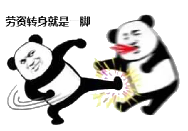 劳资转身就是一脚（劳资转身就是一脚）