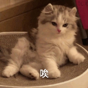 唉（唉）