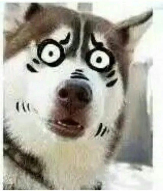 小猫目瞪口呆（小猫目瞪口呆）