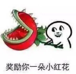 奖励你一朵小红花（奖励你一朵小红花）
