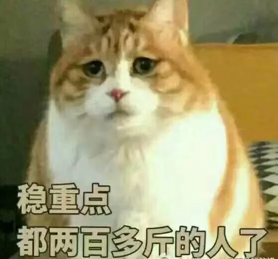 稳重点，都两百多斤的人了（稳重点，都两百多斤的人了）