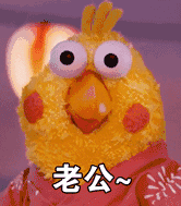 老公（小鸡）（老公（小鸡））