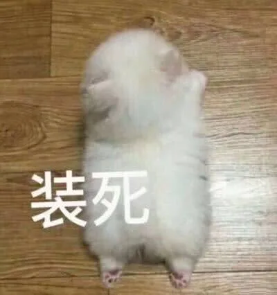 装死（装死）