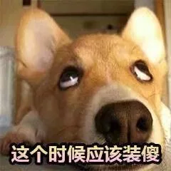 这个时候应该装傻（这个时候应该装傻）