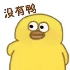 没有鸭（没有鸭）