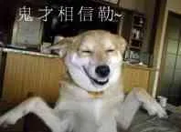 鬼才相信勒（鬼才相信勒）