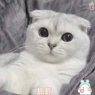 抓抓（抓抓）