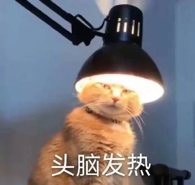 头脑发热（头脑发热）