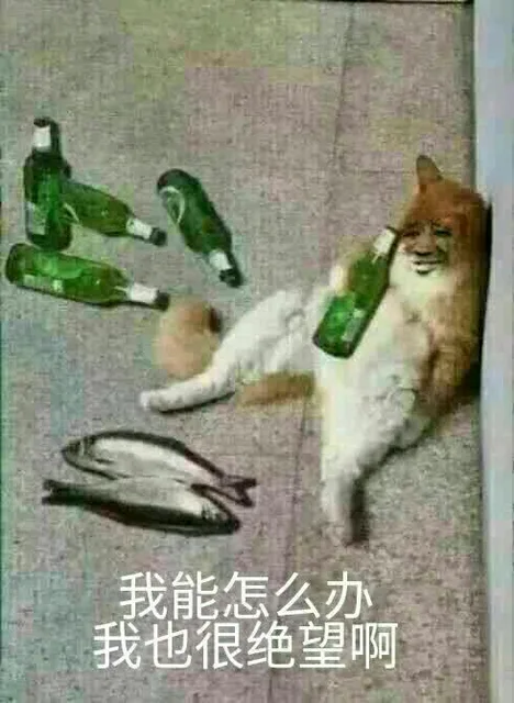 我能怎么办，我也很绝望啊（我能怎么办，我也很绝望啊）
