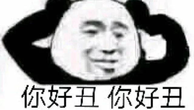 你好丑你好丑（你好丑你好丑）